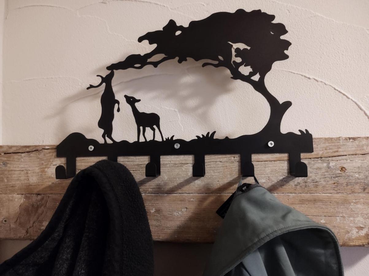 Minicamping Und B&B Apartment Hintergarten Niederorschel エクステリア 写真